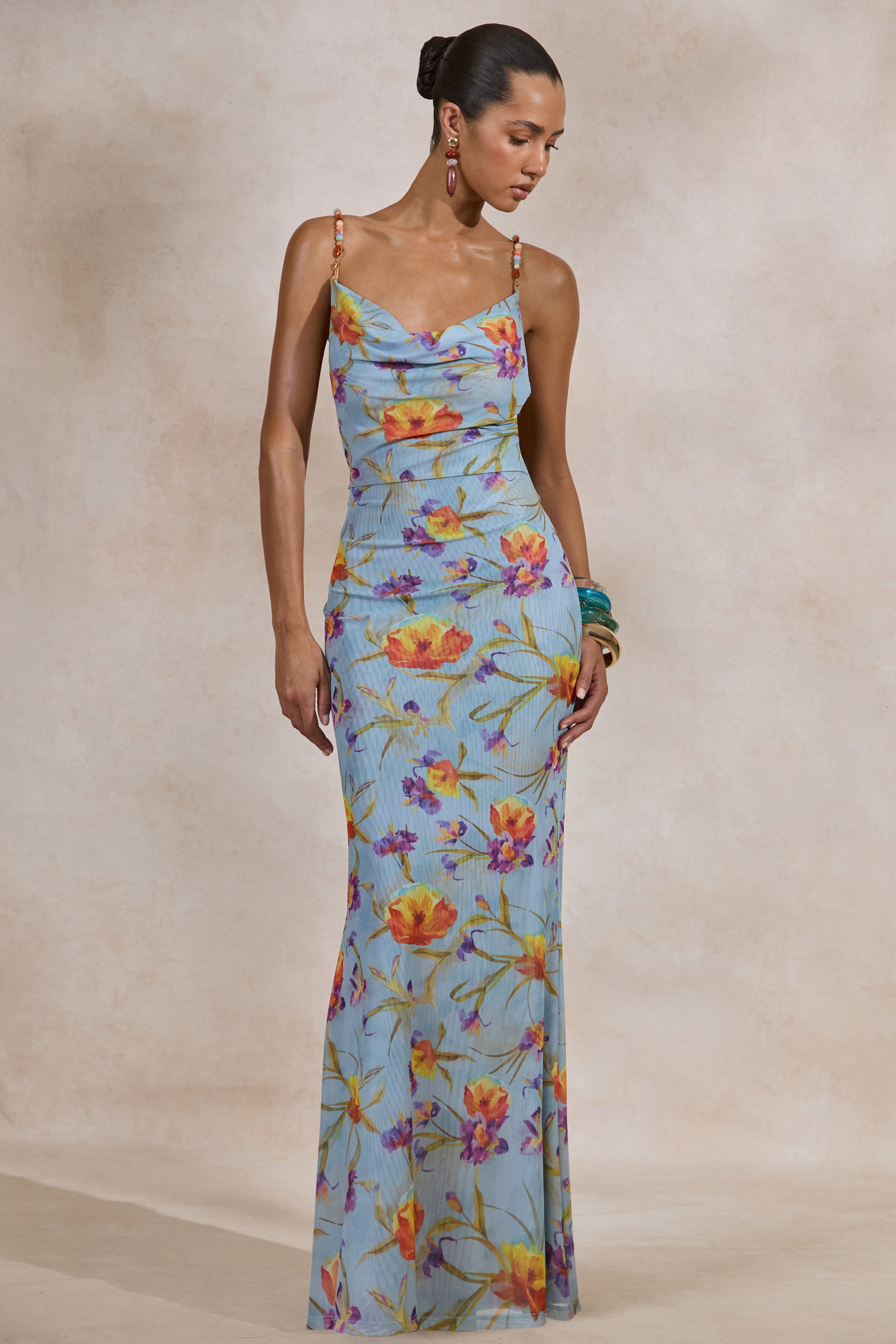Raisa | Blue Floral Mesh Cowl-Neck Maxi Dress